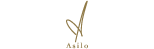 Asilo Pune